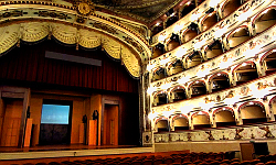 Ferrara, Italy: Teatro Comunale, Auditorium